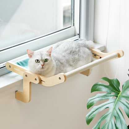 CatNap Panorama