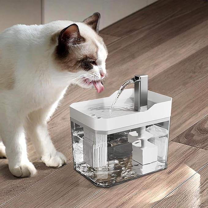 AquaPaws Fountain