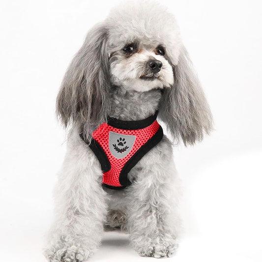 TailTrail Adjustable Vest