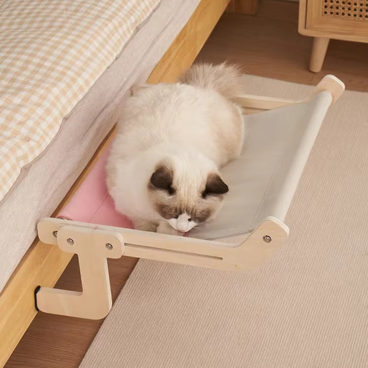 CatNap Panorama