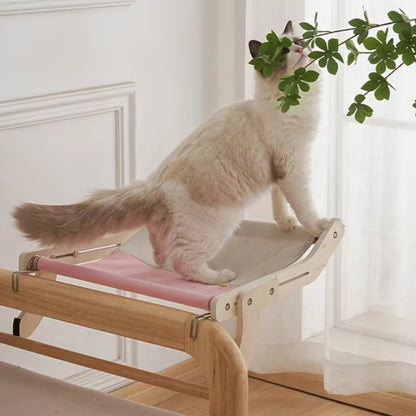 CatNap Panorama