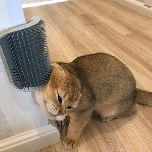 PetSpa Corner Brush