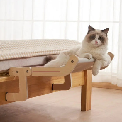 CatNap Panorama